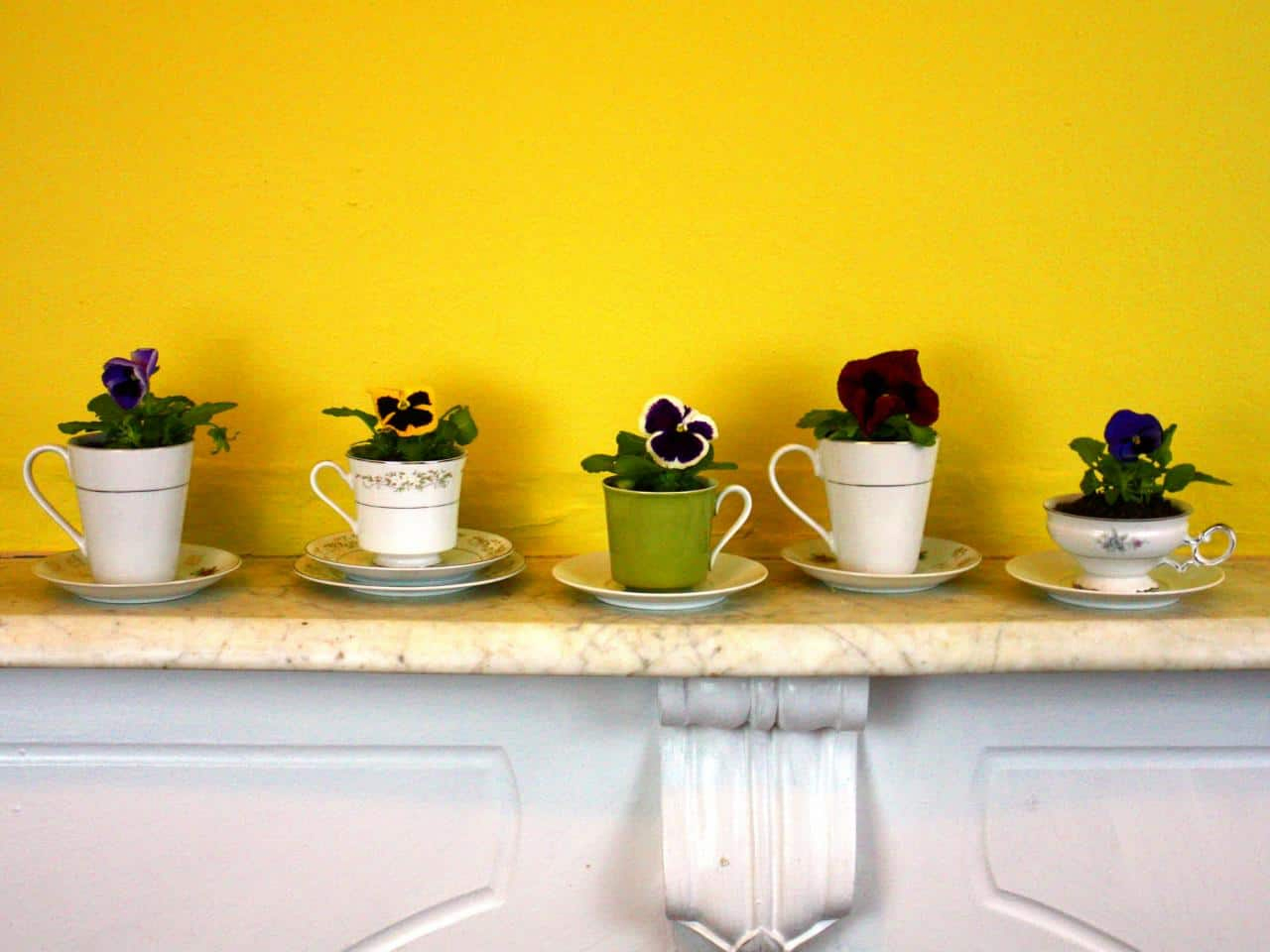 5 Teacup Planters via simphome