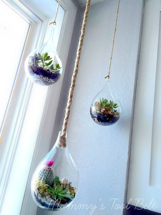 5 Hanging Glass and Plant simphome com
