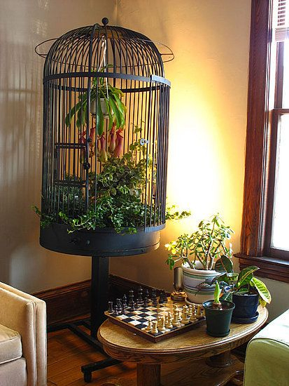 simphome birdcage planter
