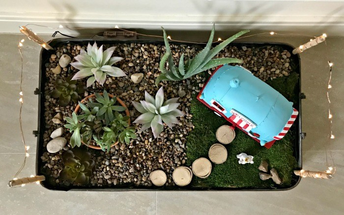 20 Fun DIY Indoor Succulent Garden with Mini Lights Simphome com