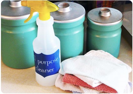 8 DIY Disinfectant Spray All Purpose Cleaner Simphome com