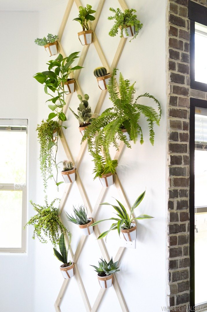 05 DIY Wood and Leather Trellis Plant Wall Simphome com