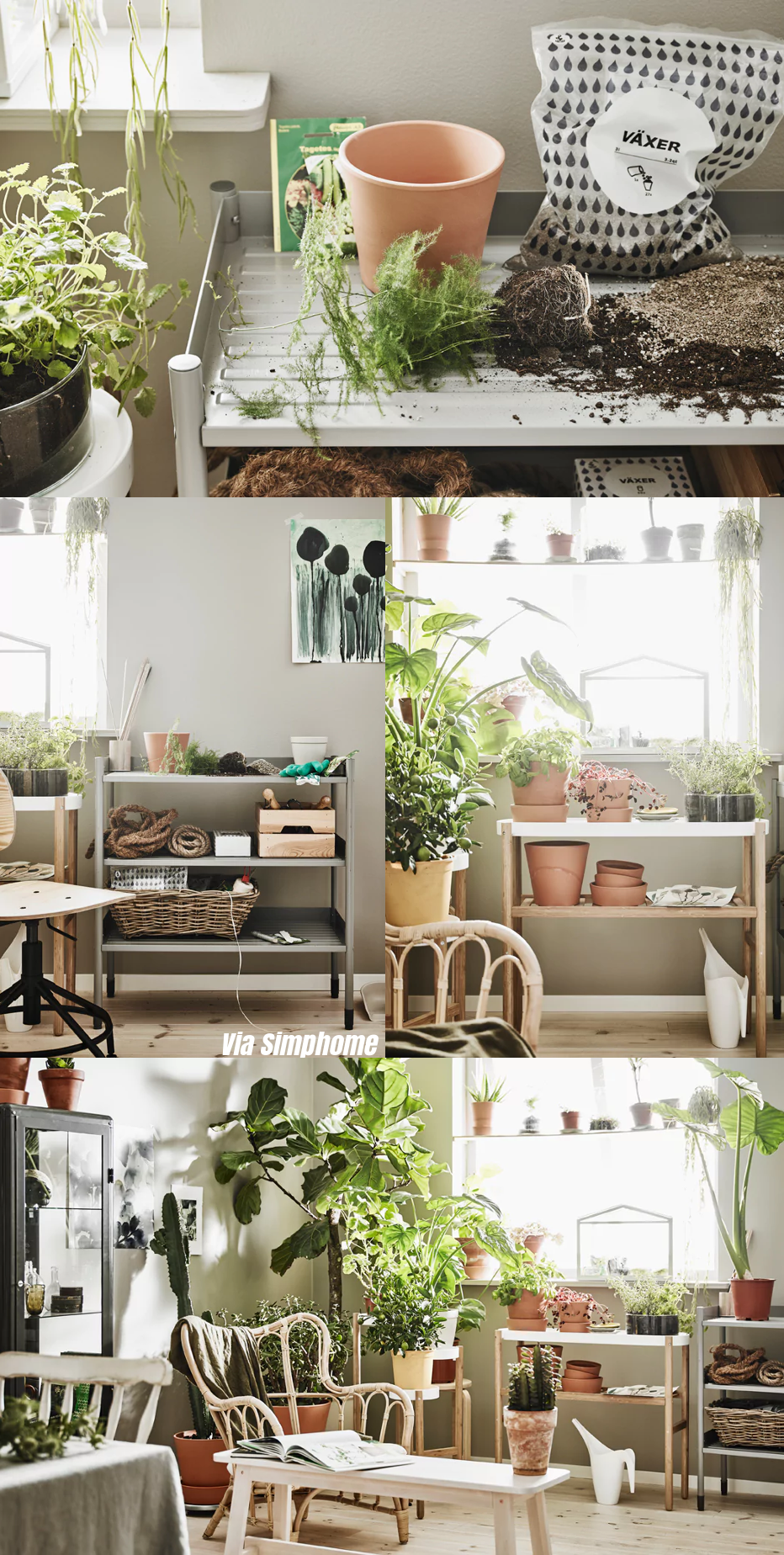 38 Indoor Gardening via simphome