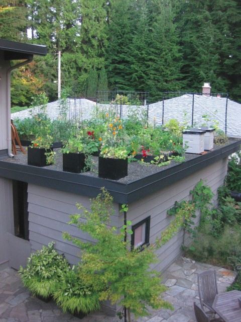 2.Square Planter for Edible Green Roof