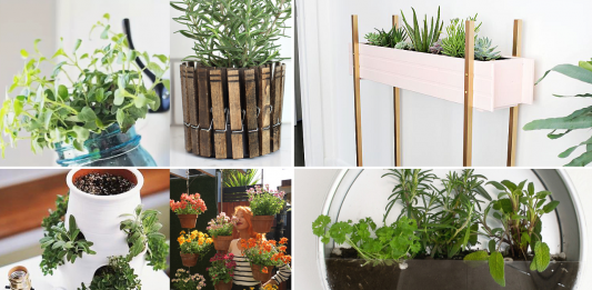 10 Clever and Cheap Indoor Garden Ideas Simphome Featured
