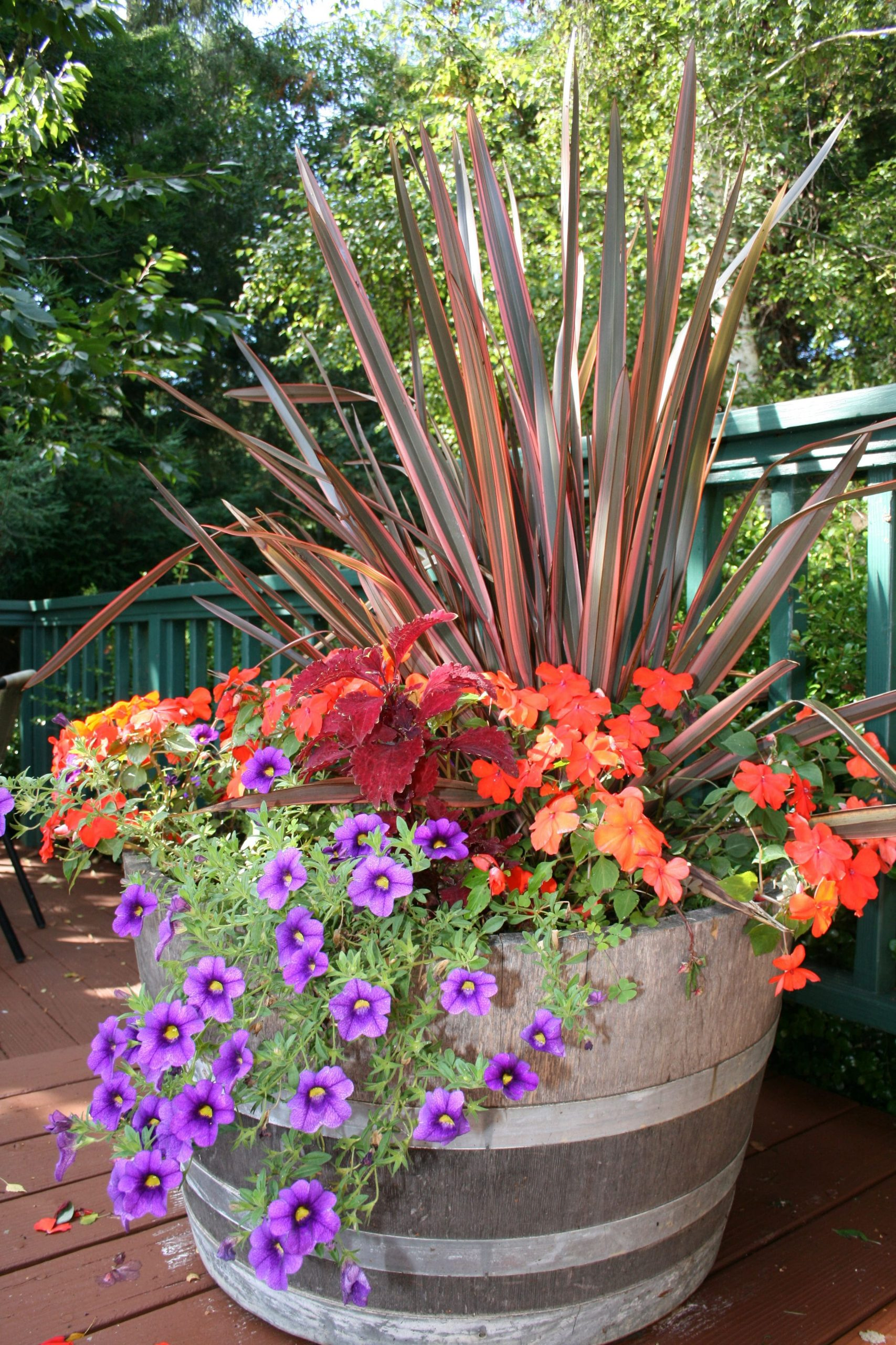 fall color container planting idea north coast gardening intended for 10 plant combination ideas for container gardens awesome and gorgeous