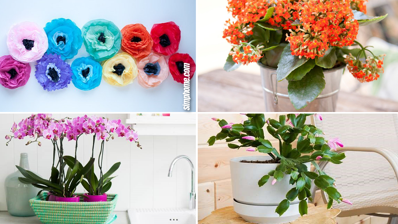 10 Creative Ideas How to Improve Your Indoor with Flowers via SIMPHOME.COM
