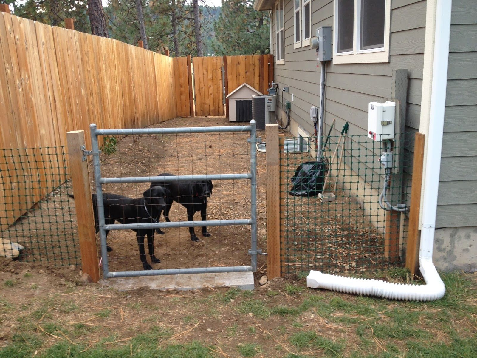 backyard dog enclosures