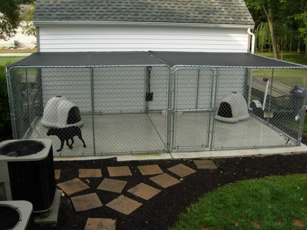 dog cage backyard