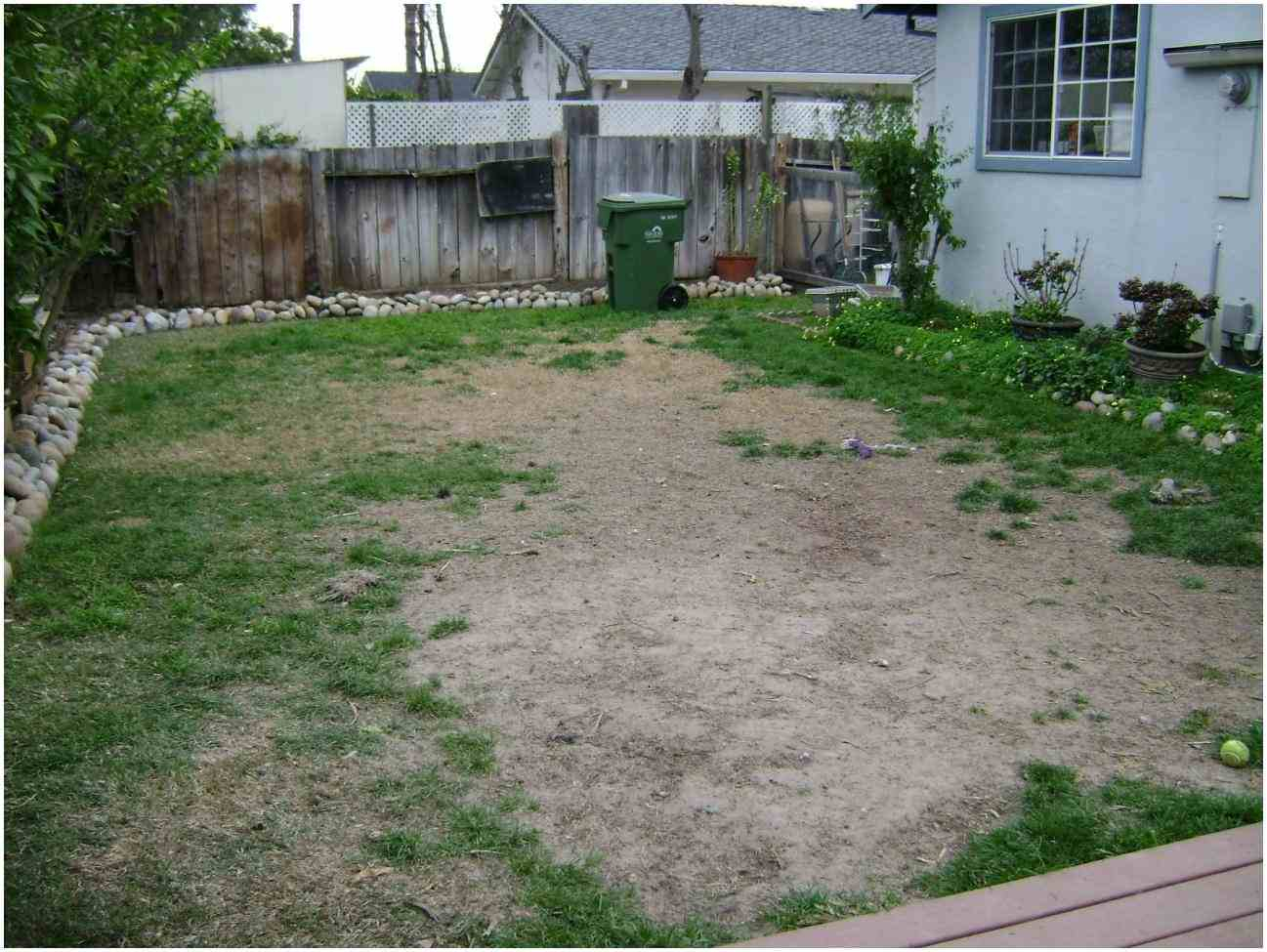 12 Ideas How To Improve Dog Backyard Landscape Simphome