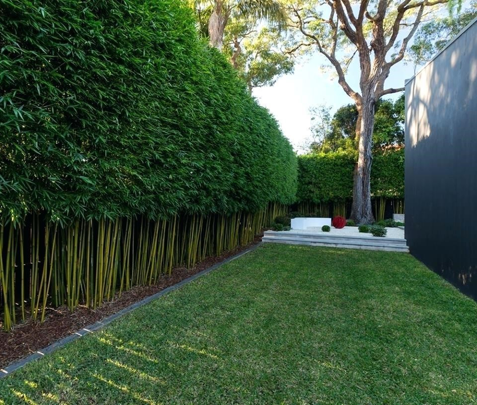 2.SIMPHOME.COM 10 Ideas how to make backyard privacy landscaping Bamboo block