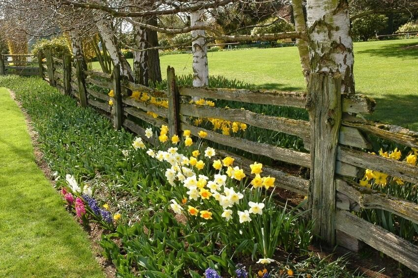 SIMPHOME.COM 10 Tricks How to Upgrade Wood Fence Ideas for Backyard 1.Country Style Wood Fence