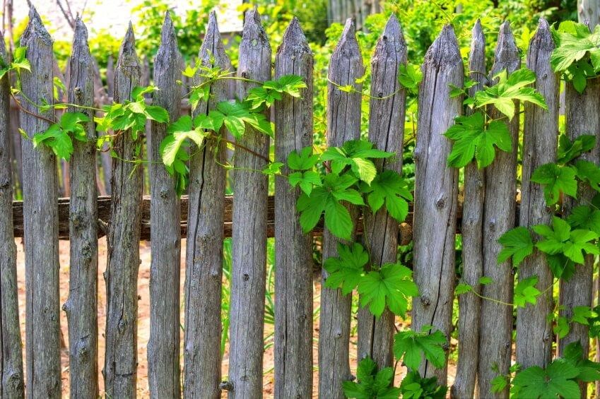 SIMPHOME.COM 10 Tricks How to Upgrade Wood Fence Ideas for Backyard 4.Raw Wood Picket Fence to Give a Rustic Look