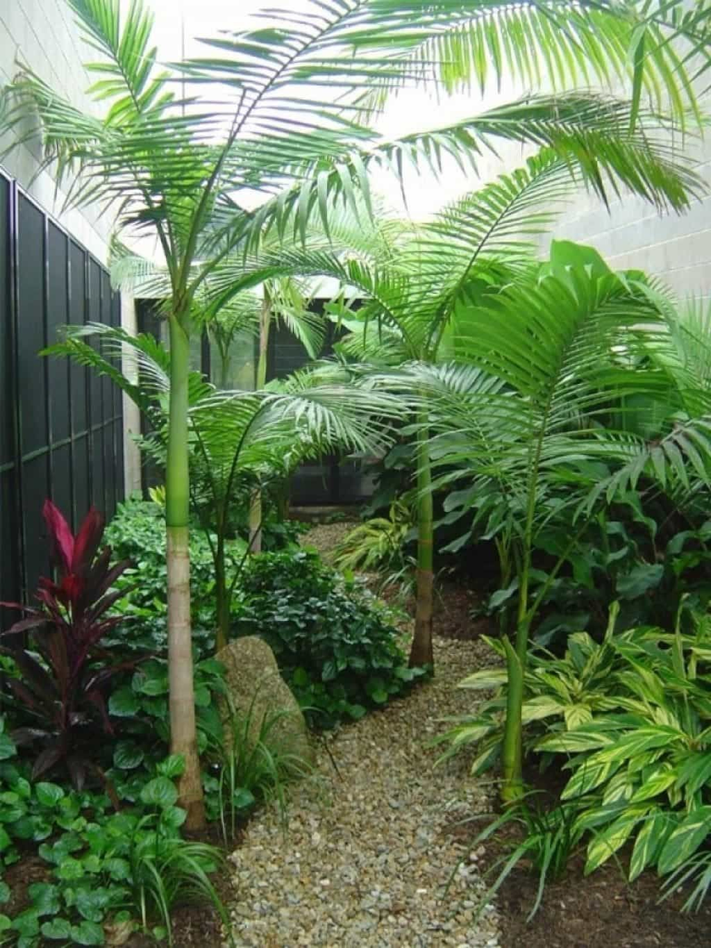 17.SIMPHOME.COM small tropical landscaping ideas small house tropical backyard