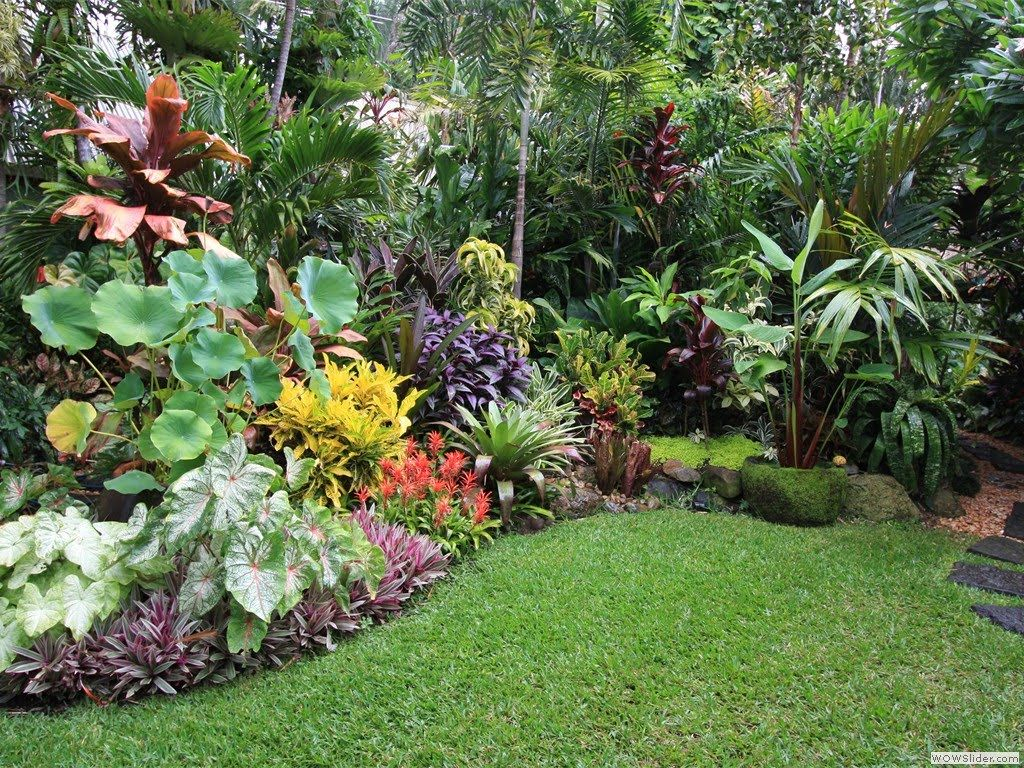 20.SIMPHOME.COM A tropical garden ideas and get ideas to decorate your garden