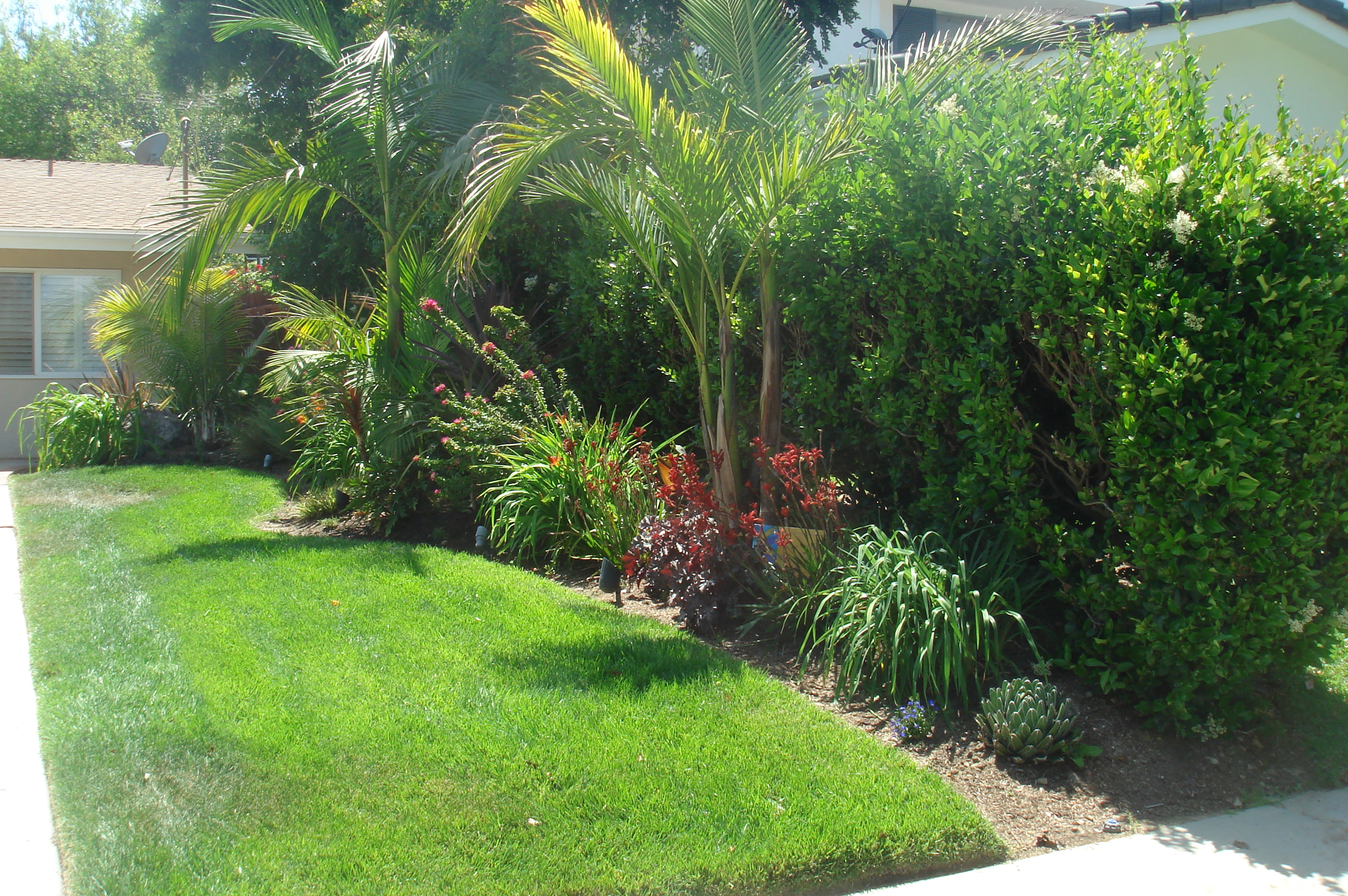 22.SIMPHOME.COM tropical landscaping ideas for front yard small backyard landscape