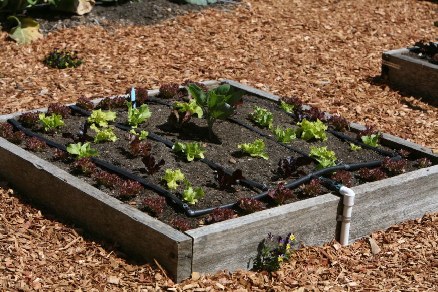 7.SIMPHOME.COM Raised Bed with Irrigation System