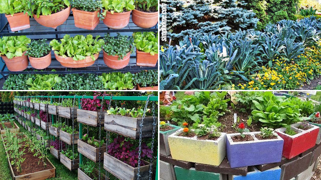 10 Backyard Vegetable Garden Ideas - Simphome