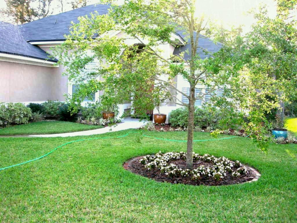 Simphome.com front yard tree landscaping ideas front yard landscaping ideas with intended for 2020 2021