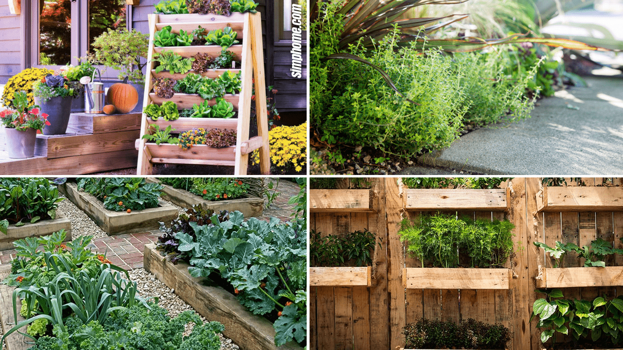 Simphome.com 10 Edible Garden Ideas Featured Image