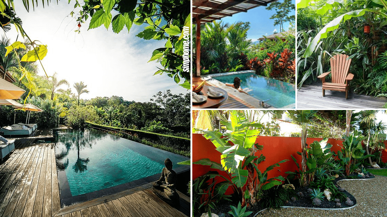 10 Tropical Backyard Garden Ideas Simphome