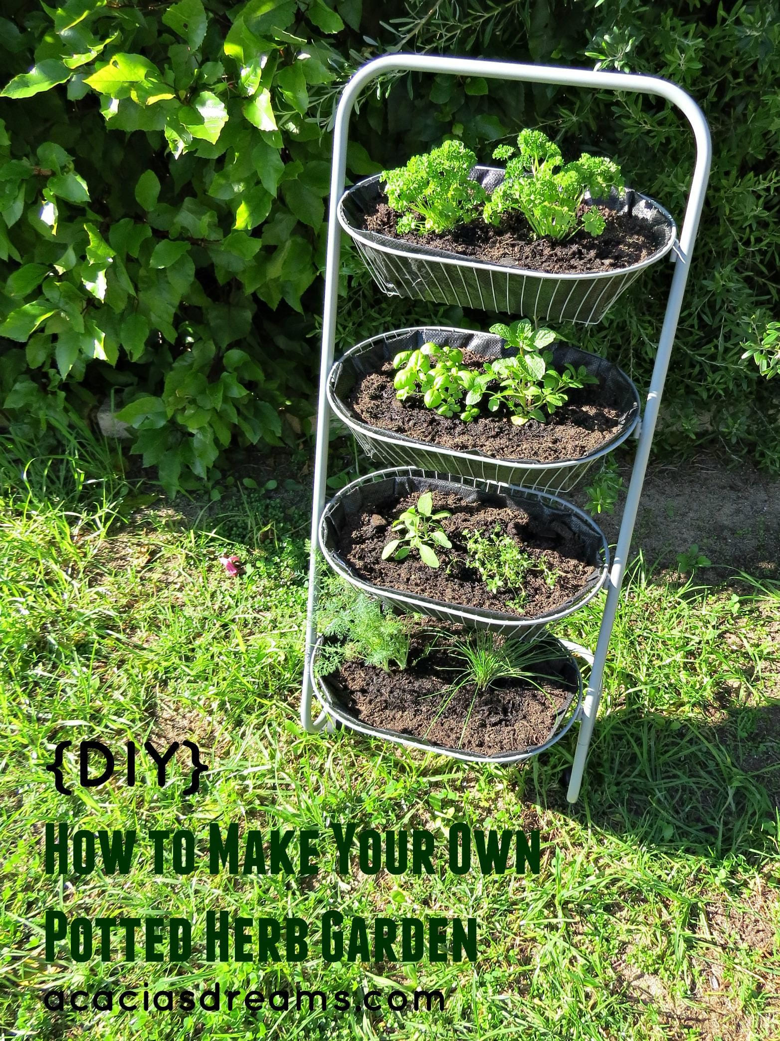 Simphome.com diy how to make your own potted herb garden diy pinterest inside potted herb garden ideas