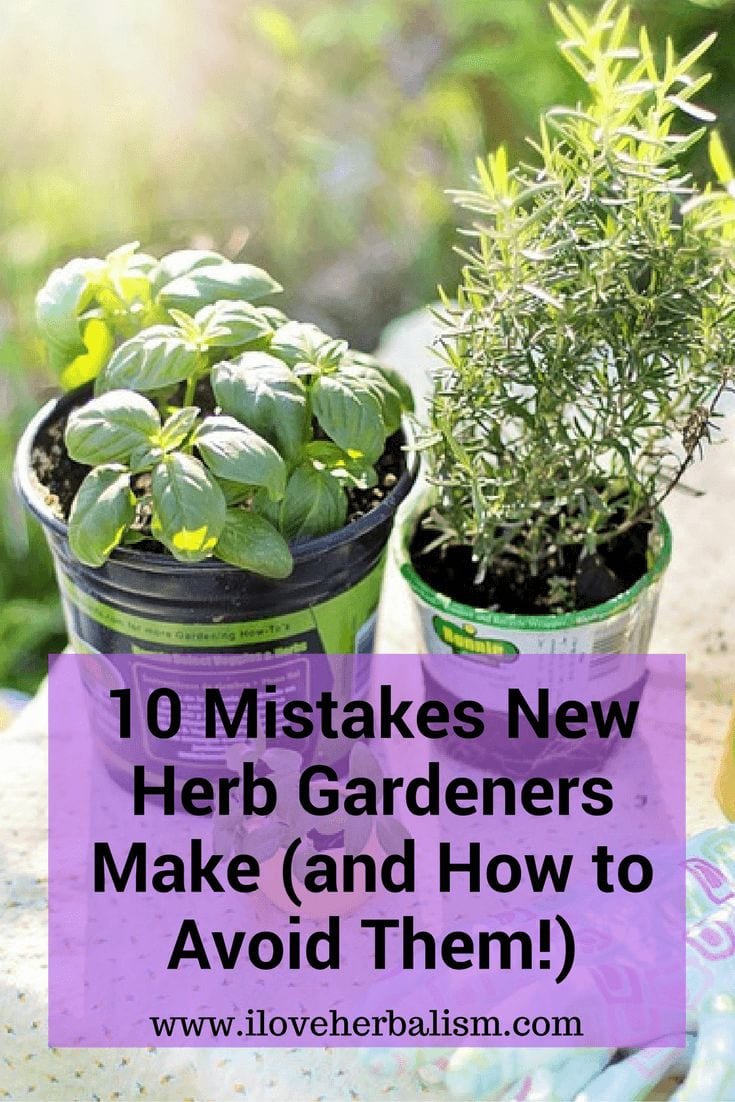 Simphome.com great informative article to read if you planning to grow some pertaining to potted herb garden ideas
