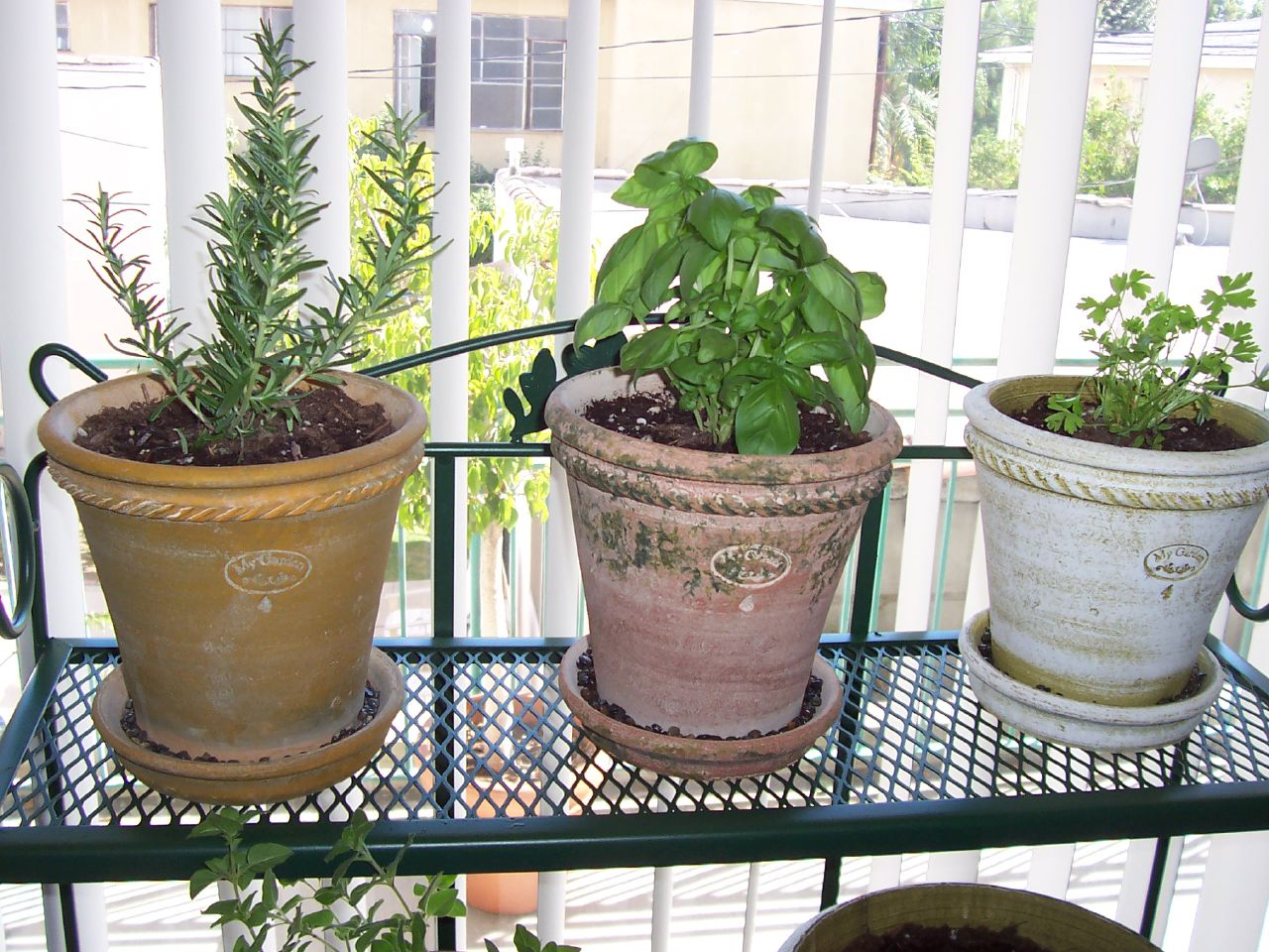 Simphome.com growing herbs indoors how to grow herbs indoors with bonus ideas