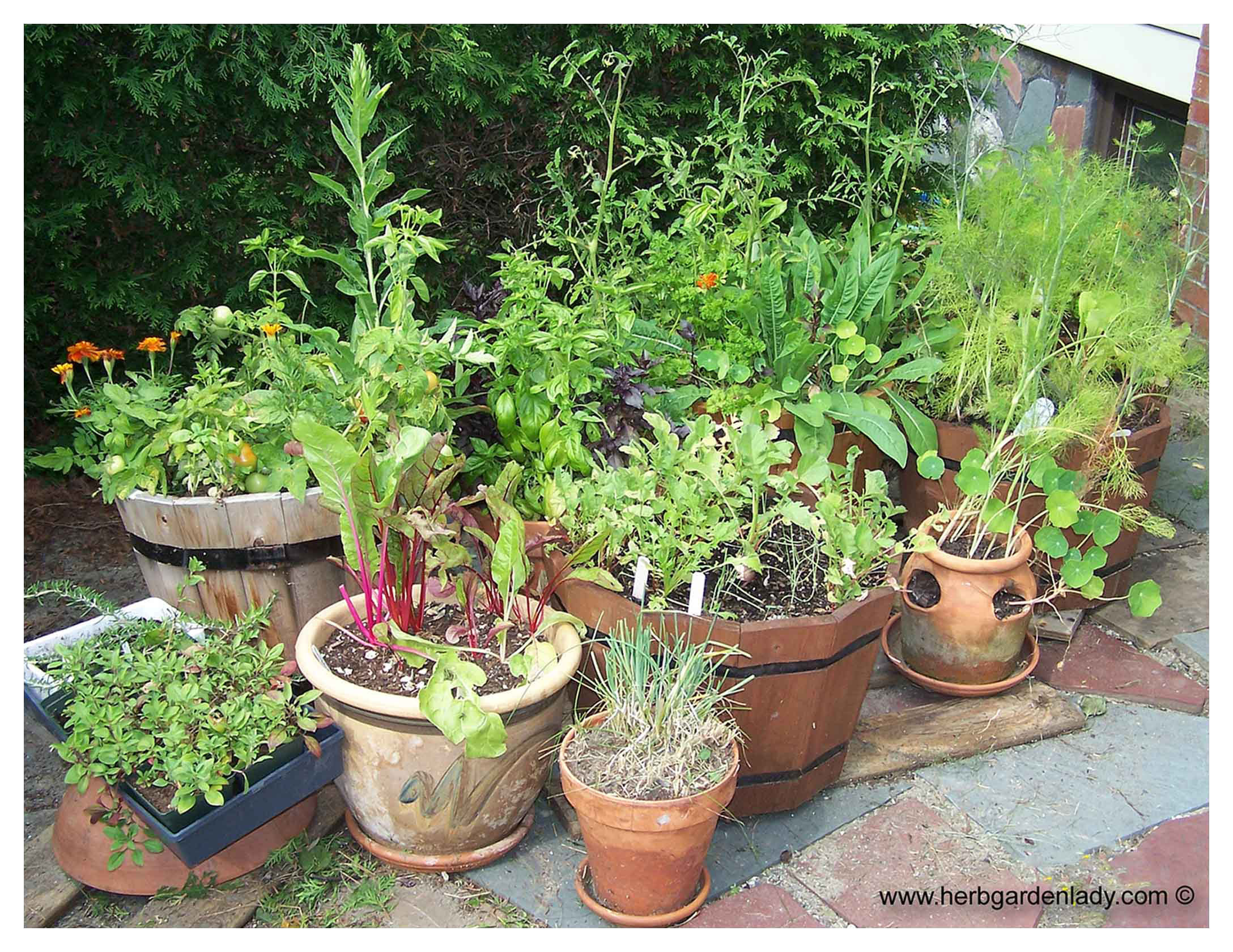 Simphome.com plant a container garden following these easy steps pertaining to potted herb garden ideas