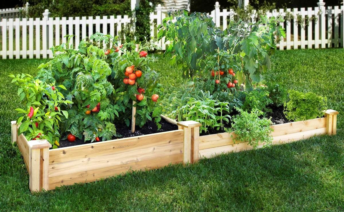 Simphome.com raised vegetable garden with wood box meaningful use home designs inside 10 box garden ideas Image Source meaningfuluse emr.com