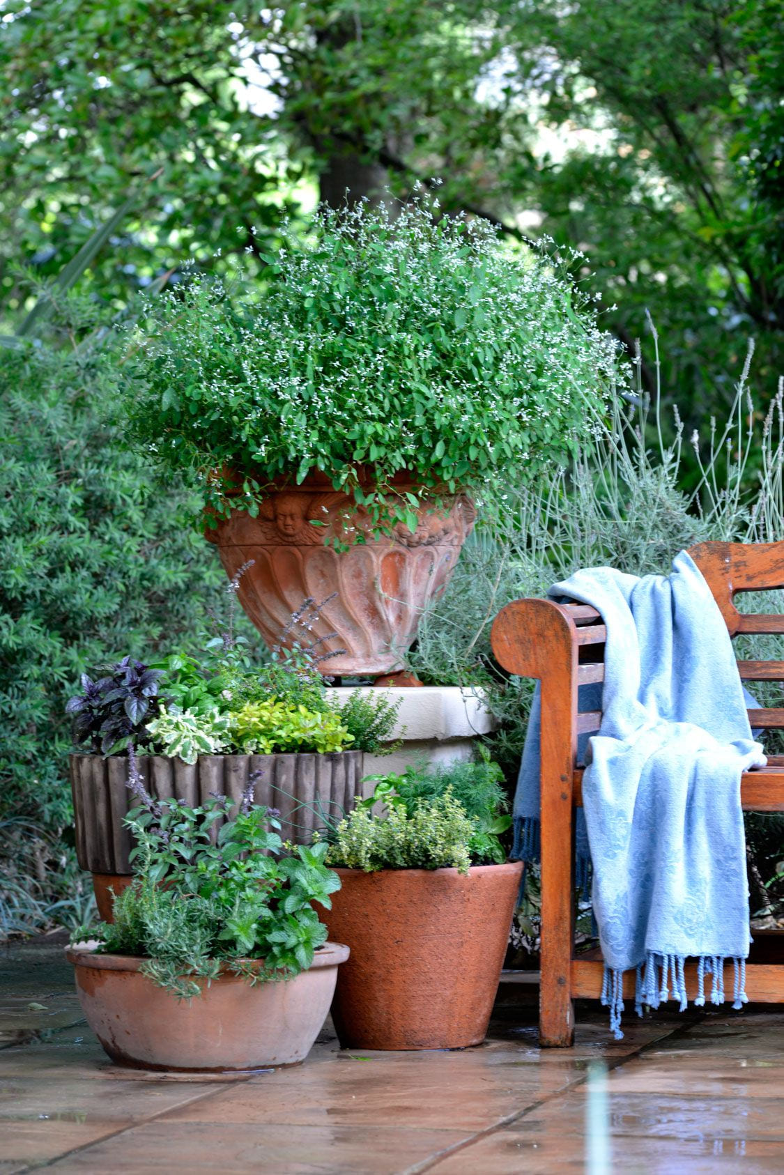 small garden ideas growing herbs in pots gillys garden courtyard in 10 potted herb garden ideas elegant and stunning