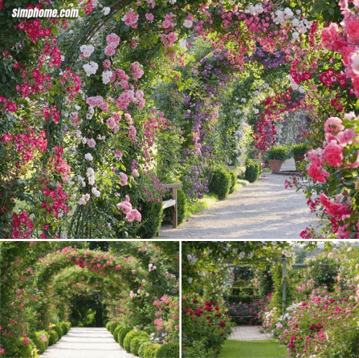 4.Simphome.com A Romantic Tunnel Rose garden idea