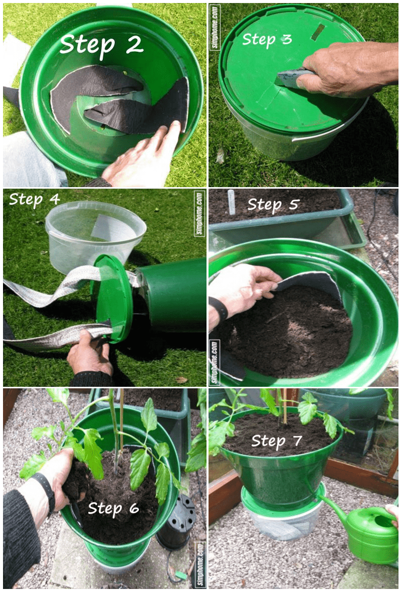 4.Simphome.com Self Watering Tomato Planters