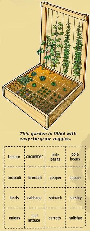7.Simphome.com Pallet Vegetable Garden Plan