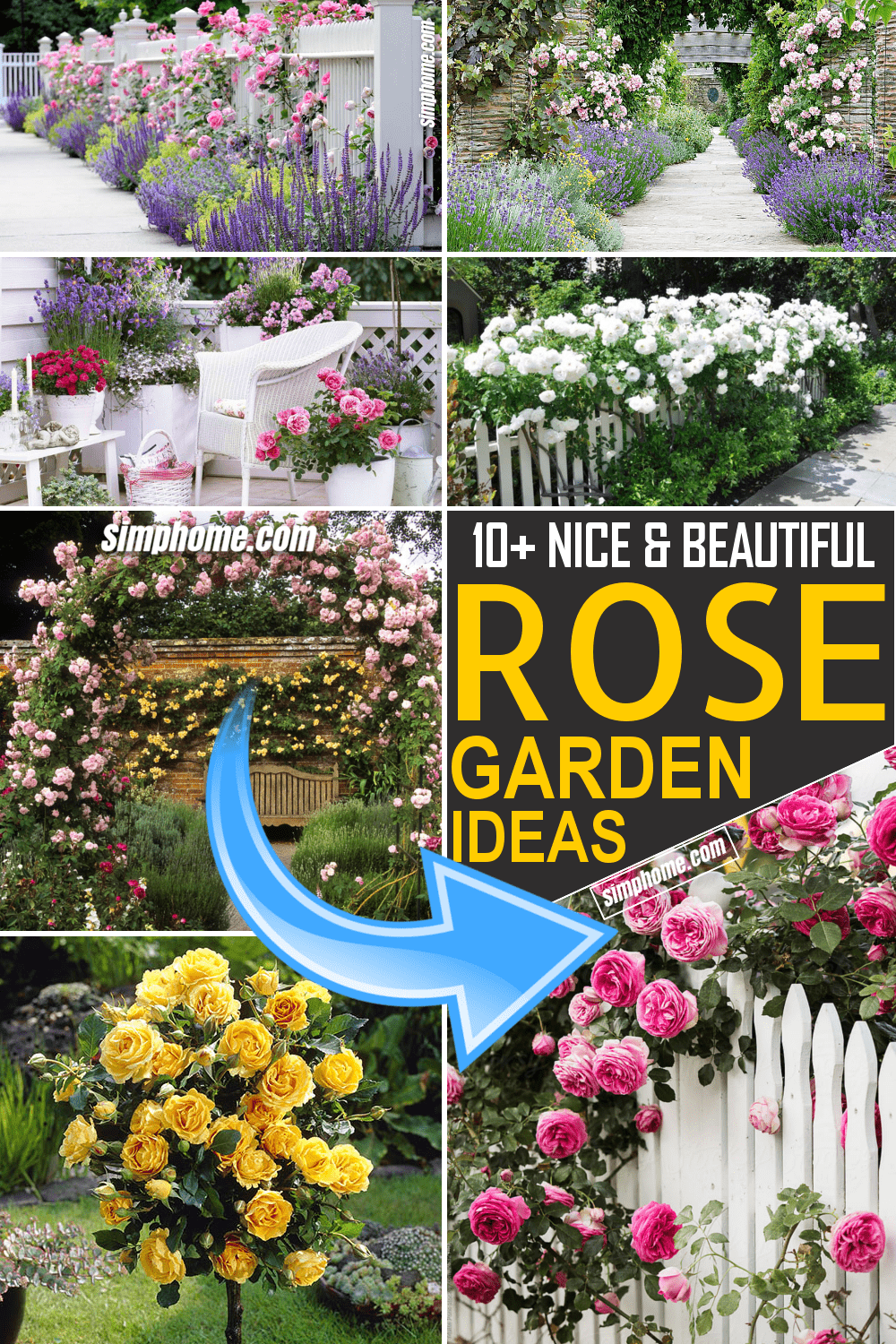 Simphome.com 10 Rose Garden Ideas Featured Image