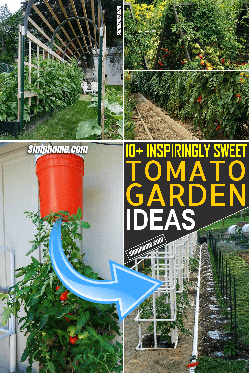 Simphome.com 10 tomato garden ideas Featured Pinterest Image