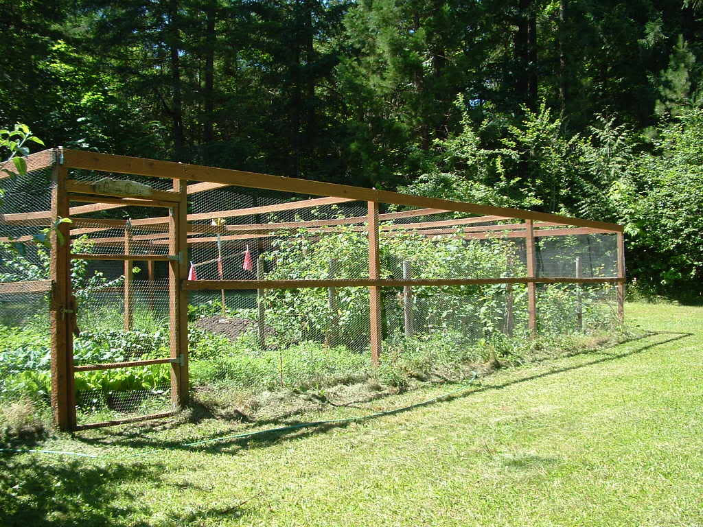 Simphome.com garden fence ideas chicken wire ujecdent with 10 wire garden fencing ideas
