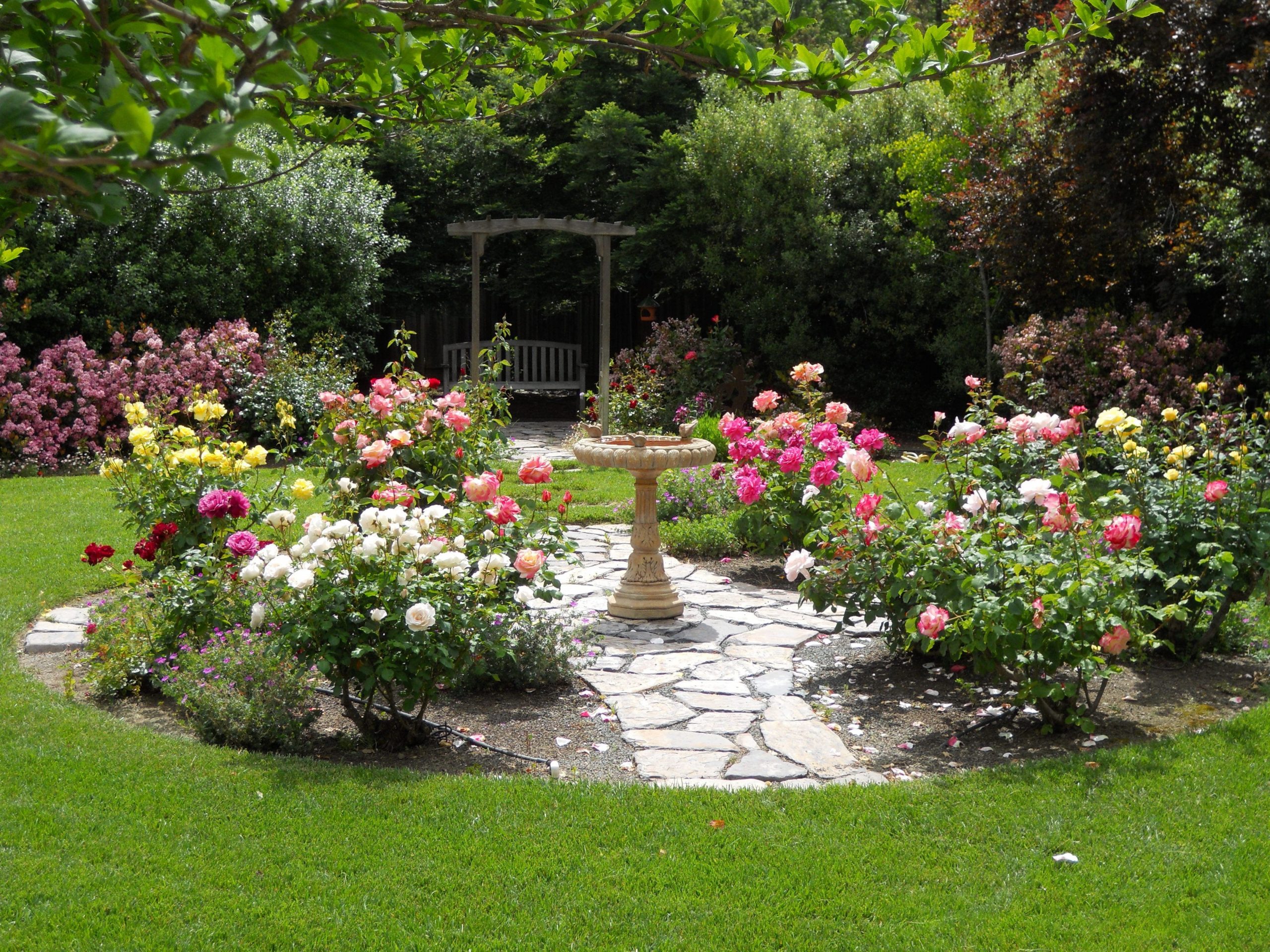 Simphome.com rose garden designs for small yard simple design ideas rose garden with rose garden design ideas