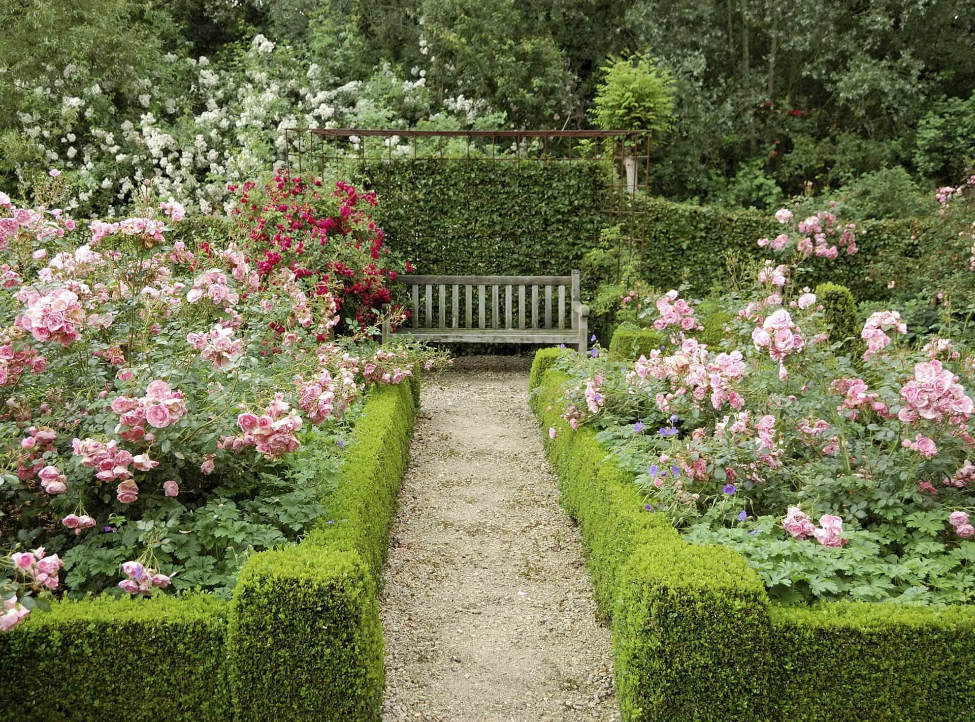 Simphome.com rose garden with wooden bench and boxwood cottage garden garden within rose garden design ideas