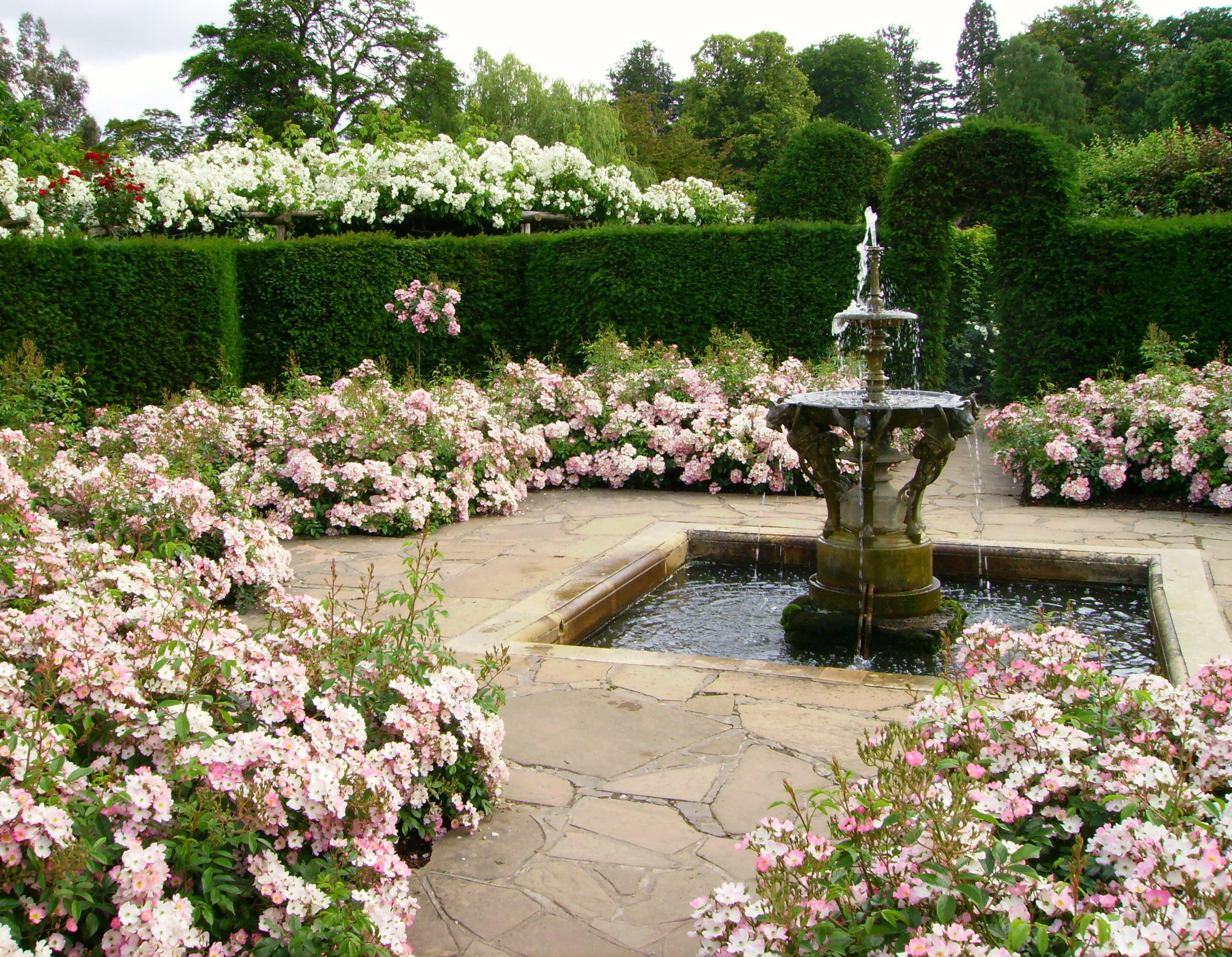 Simphome.com victorian garden design ludwigs rosesludwigs roses for rose garden ideas