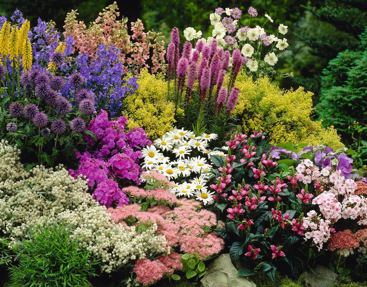 inexpensive landscaping ideas to beautify your yard freshome regarding cheap flower garden ideas