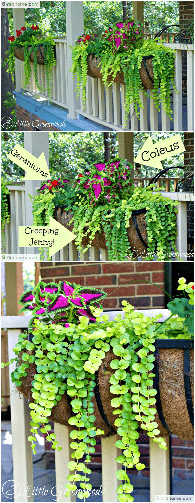 1.Give a Lively Lift with Plants via Simphome.com