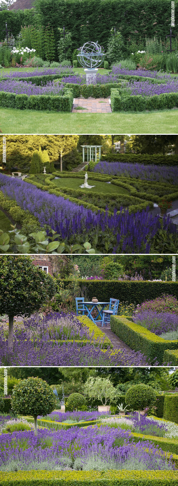 1.Traditional Lavender Gardens by Simphome.com