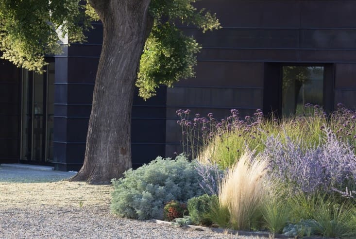 9. Lavender in Modern Landscaping by Simphome.com 2