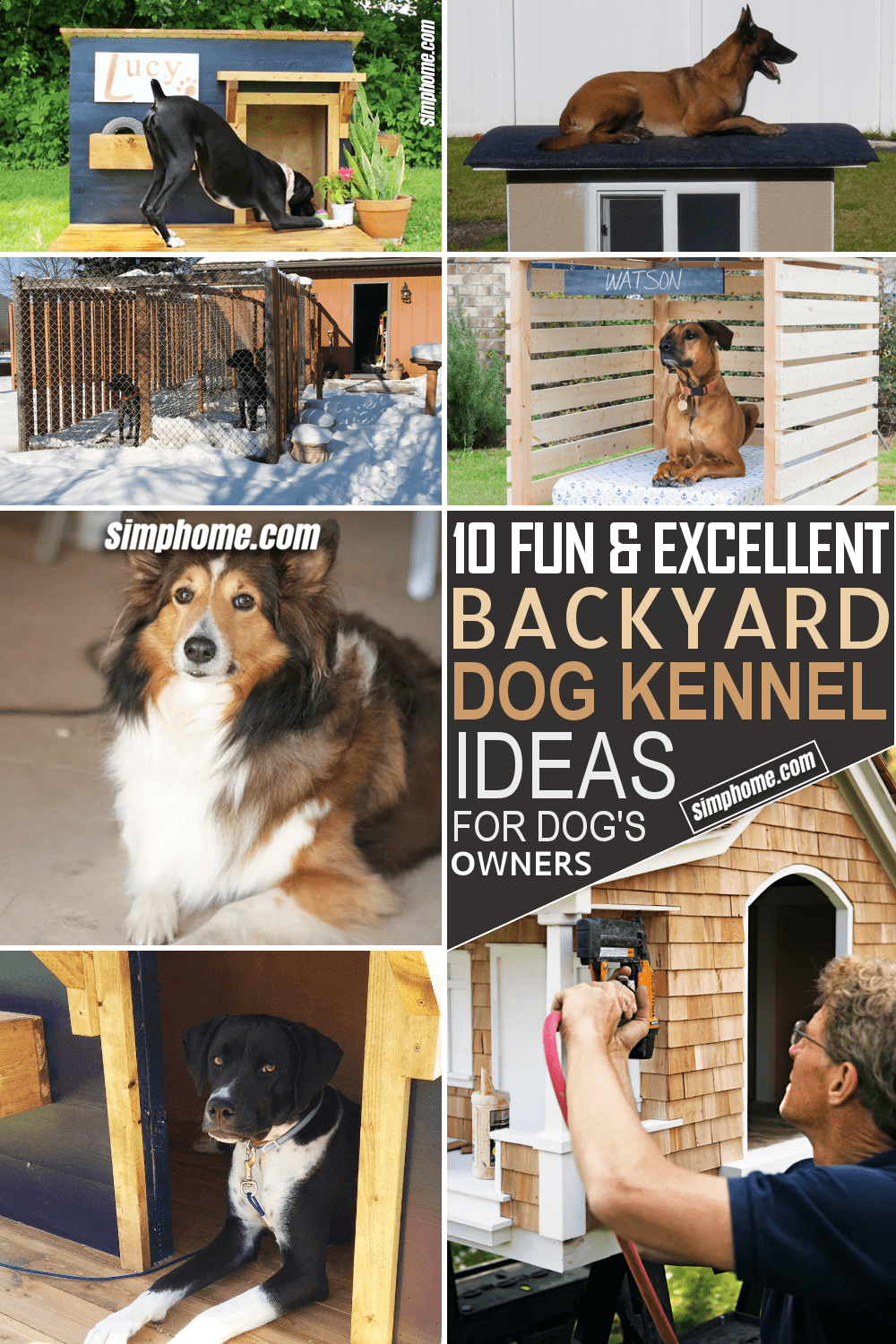 How to Build Backyard Dog Kennel Ideas by Simphome.com Featured Image