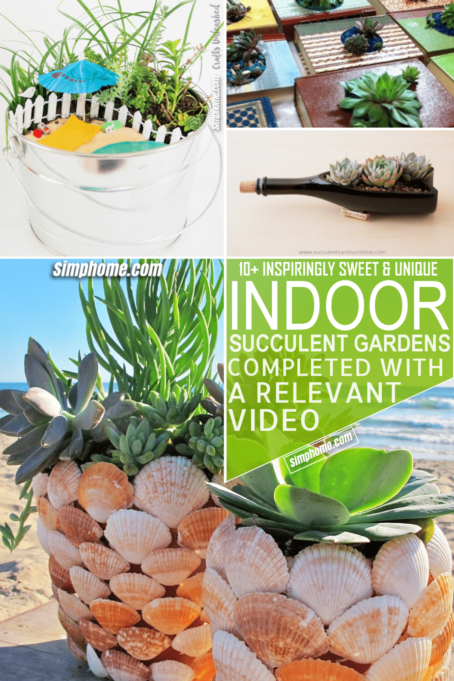 10 Indoor Succulent Garden Ideas via Simphome.com Featured Pinterest