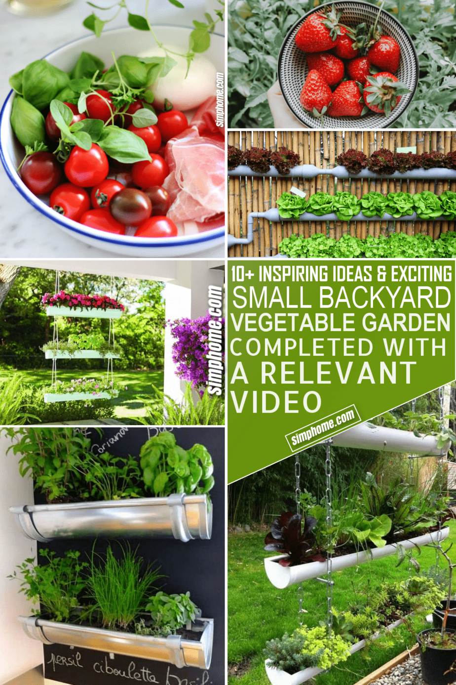 10 Small Backyard Vegetable Garden Ideas via Simphome.com Pinterest Image Feature