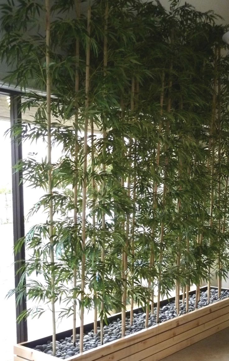 2. An Indoor Bamboo Garden Project Idea via Simphomepinterestjpg