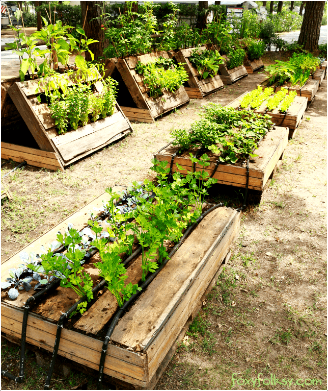 2.Pallet Garden Project via Simphome.com
