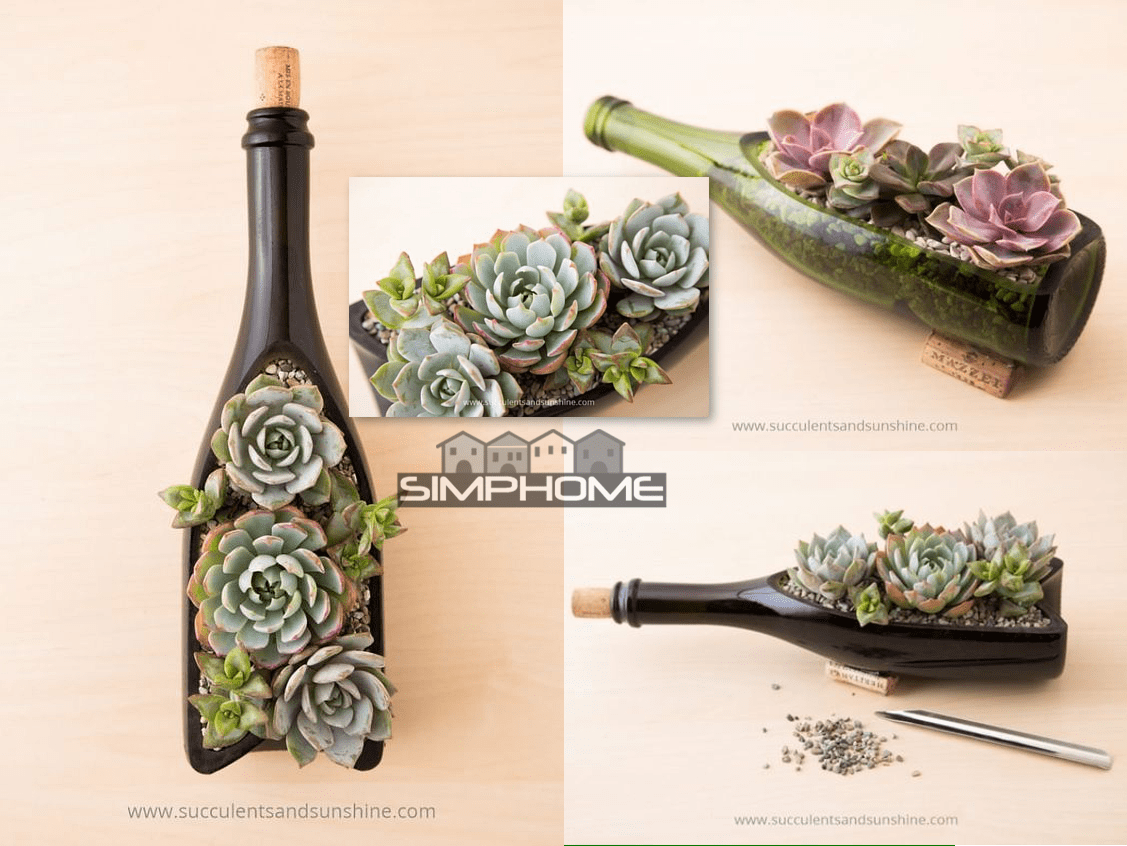 2.Succulent Wine Bottle Project Idea via Simphome.com